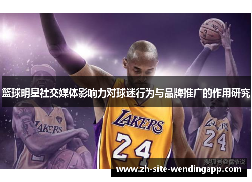 篮球明星社交媒体影响力对球迷行为与品牌推广的作用研究